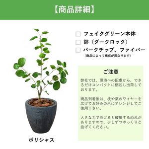 フェイクグリーン Botanical life+ Dシリーズ ポリシャス 70cm 光触媒加工 鉢付き インテリア 抗菌 消臭 愛知県 豊橋市 送料無料 35000円