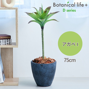 フェイクグリーン Botanical life+ Dシリーズ アガベI 75cm 光触媒加工 鉢付き インテリア 抗菌 消臭 愛知県 豊橋市 送料無料 35000円