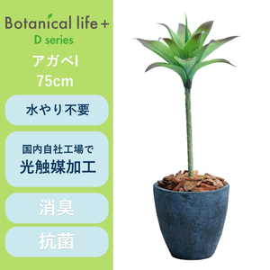 フェイクグリーン Botanical life+ Dシリーズ アガベI 75cm 光触媒加工 鉢付き インテリア 抗菌 消臭 愛知県 豊橋市 送料無料 35000円
