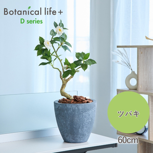 フェイクグリーン Botanical life+ Dシリーズ ツバキ 60cm 光触媒加工 鉢付き インテリア 抗菌 消臭 愛知県 豊橋市 送料無料 35000円