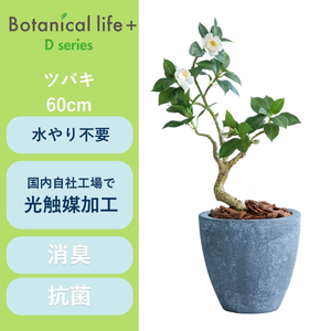 フェイクグリーン Botanical life+ Dシリーズ ツバキ 60cm 光触媒加工 鉢付き インテリア 抗菌 消臭 愛知県 豊橋市 送料無料 35000円