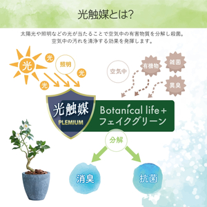 フェイクグリーン Botanical life+ Dシリーズ ツバキ 60cm 光触媒加工 鉢付き インテリア 抗菌 消臭 愛知県 豊橋市 送料無料 35000円