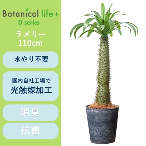フェイクグリーン Botanical life+ Dシリーズ ラメリー 110cm 光触媒加工 鉢付き インテリア 抗菌 消臭 愛知県 豊橋市 送料無料 52000円