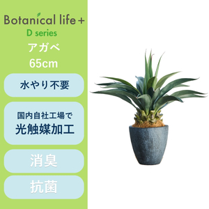 フェイクグリーン Botanical life+ Dシリーズ アガベ 65cm 光触媒加工 鉢付き インテリア 抗菌 消臭 愛知県 豊橋市 送料無料 41000円