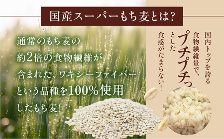 豊橋産スーパーもち麦 おためし900g