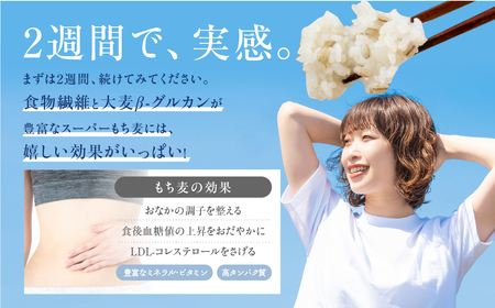 豊橋産スーパーもち麦 おためし900g