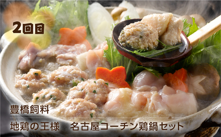 あったか鍋＆おでん 定期便 全3回 頒布会 鍋定期便 名古屋コーチン 鴨鍋 おでん 高評価 お楽しみ 地鶏 鴨肉 あいち鴨 ちくわ 定期便 3ヵ月 鍋セット定期便 なべ定期便定期便