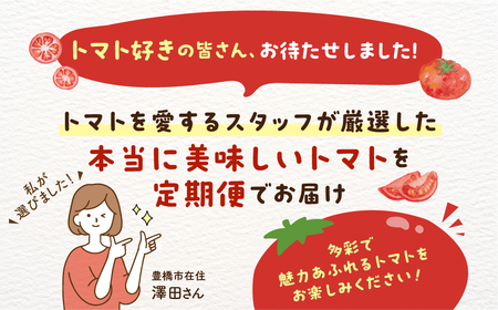 トマト大好き定期便 6回お届け トマト ミニトマト フルーツトマト 食べ比べ 高糖度 プチぷよ ファーストトマト とまと あまえぎみ 旬 先行予約 期間限定 お楽しみ トマト定期便 定期便定期便定期便定期便 3回 3ヵ月 希少品種 人気