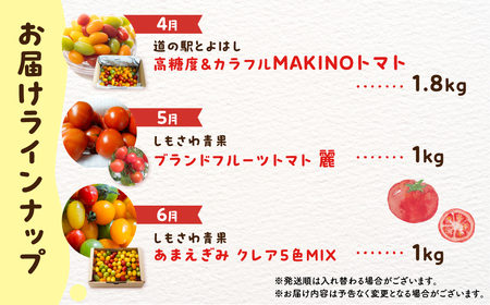トマト大好き定期便 6回お届け トマト ミニトマト フルーツトマト 食べ比べ 高糖度 プチぷよ ファーストトマト とまと あまえぎみ 旬 先行予約 期間限定 お楽しみ トマト定期便 定期便定期便定期便定期便 3回 3ヵ月 希少品種 人気