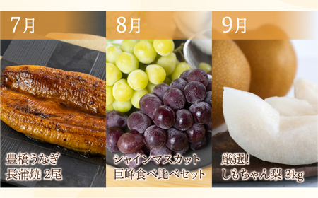 豊橋 どうまい 定期便 全12回 いちご / トマト / えび / 鴨肉 / ミニトマト / アイス  / シャインマスカット / 梨 / 焼き芋 / 柿 / 牛肉  高評価 お楽しみ ぶどう フルーツ 鰻 苺 むきえび 冷凍 訳あり 1年 12回定期便 フルーツ定期便 うなぎ定期便 海鮮定期便 人気の定期便