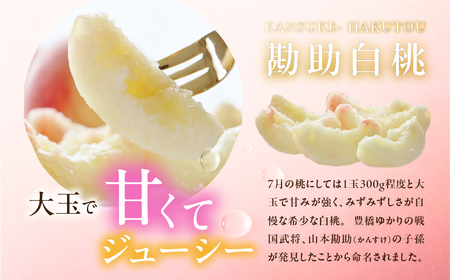 ≪先行予約 2026年発送≫出荷時期はわずか２週間！ 豊橋産『石巻の勘助白桃 2.5～3kg（6～10玉）』桃 桃 桃 桃