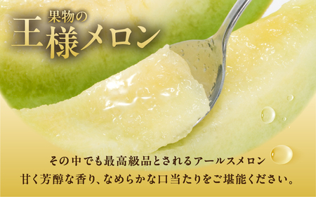 ≪先行予約 2026年発送≫ 豊橋城下地区の『アールスメロン（L～2L）』2玉 メロン メロン メロン メロン