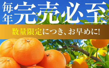 【年内お届け】みかん 3kg 訳あり 温州 みかん