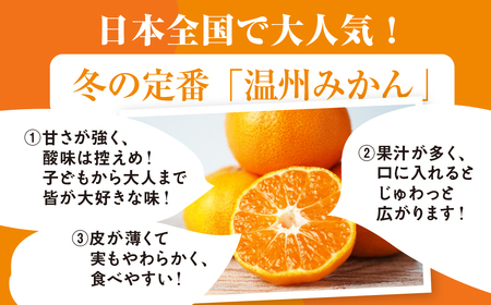 【年内お届け】みかん 3kg 訳あり 温州 みかん