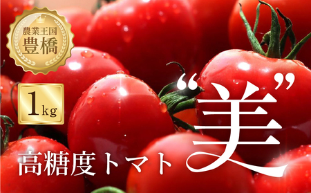 【先行予約】糖度8度！"美"ミニトマト 1kg