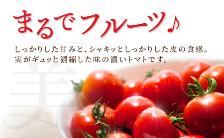 【先行予約】糖度8度！"美"ミニトマト 1kg