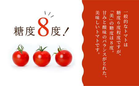 【先行予約】糖度8度！"美"ミニトマト 1kg