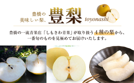 ≪先行予約 2026年発送≫一流青果店厳選！梨 3kg 梨