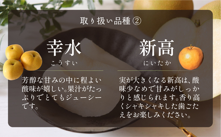 ≪先行予約 2026年発送≫一流青果店厳選！梨 3kg 梨