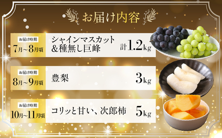 一流青果店厳選！フルーツ定期便 6回（梨・ぶどう・メロン・スイカ・柿・トマト）定期便 定期便