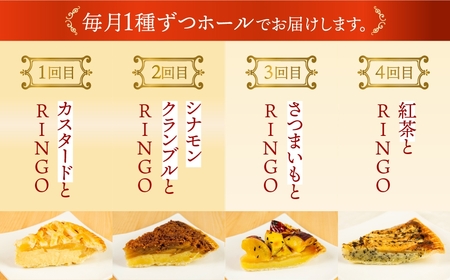 アップルパイ定期便 4回（ホール 1枚）冷凍 りんご アップルパイ スイーツ デザート 甘い 人気 豊橋市 果物 