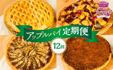 アップルパイ定期便 12回（ホール 1枚）冷凍 りんご アップルパイ スイーツ デザート 甘い 人気 豊橋市 果物