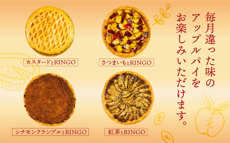 アップルパイ定期便 12回（ホール 1枚）冷凍 りんご アップルパイ スイーツ デザート 甘い 人気 豊橋市 果物