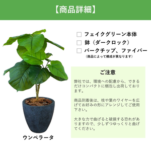 フェイクグリーン Botanical life+ Dシリーズ ウンベラータ 70cm 光触媒加工 鉢付き インテリア 抗菌 消臭 愛知県 豊橋市 送料無料 41000円