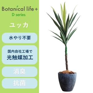 フェイクグリーン Botanical life+ Dシリーズ ユッカ 100cm 光触媒加工 鉢付き インテリア 抗菌 消臭 愛知県 豊橋市 送料無料 35000円
