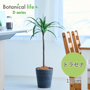 フェイクグリーン Botanical life+ Dシリーズ ドラセナ 110cm 光触媒加工 鉢付き インテリア 抗菌 消臭 愛知県 豊橋市 送料無料 41000円