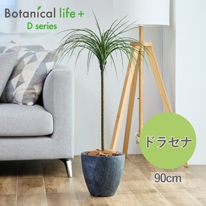 フェイクグリーン Botanical life+ Dシリーズ ドラセナ 90cm 光触媒加工 鉢付き インテリア 抗菌 消臭 愛知県 豊橋市 送料無料 41000円