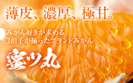 ≪今が旬!≫こだわり蜜柑 蜜ツ丸 厳選プレミアム レギュラー箱 約5kg みかん