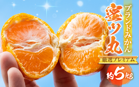 ≪今が旬!≫こだわり蜜柑 蜜ツ丸 厳選プレミアム レギュラー箱 約5kg みかん