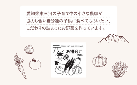 旬の野菜セット　お試し　野菜 野菜詰め合わせ おまかせ 新鮮 旬の野菜 愛知県 豊橋市