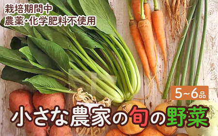 旬の野菜セット　5品～6品　野菜 野菜詰め合わせ おまかせ 新鮮 旬の野菜 愛知県 豊橋市
