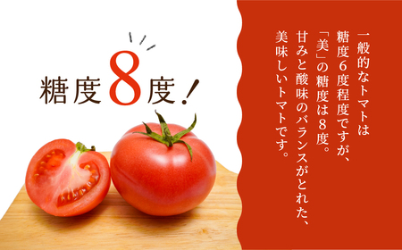 【先行予約】糖度8度！"美"トマト 1kg