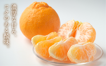 ≪先行予約≫ 完熟しらぬい『甘熟デコ』厳選プレミアム レギュラー箱 3kg デコポン