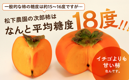 ≪先行予約≫ 次郎柿 6.5kg