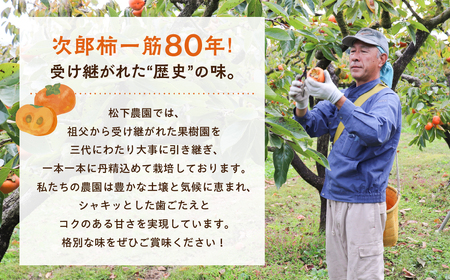 ≪先行予約≫ 次郎柿 6.5kg