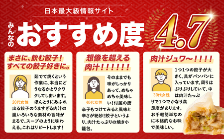 とよはし『最強肉汁餃子』3箱セット 60個入り