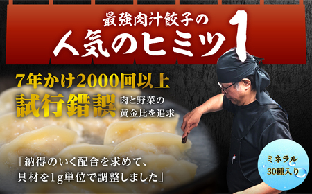とよはし『最強肉汁餃子』3箱セット 60個入り