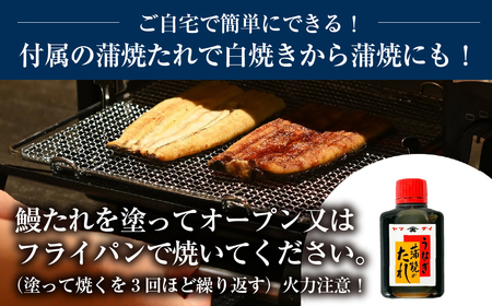 愛知県三河産　うなぎ　白焼き 2尾