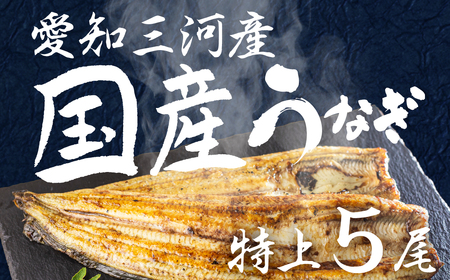 愛知県三河産　うなぎ　白焼き 5尾