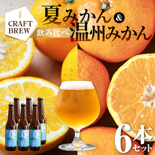 東三河の地産地消にこだわったクラフトビール『ＤＡＭＯＮＤＥ』夏みかん・温州みかん（２種６本セット） ビール ビールセット 贈答 ギフト お祝い お酒 地ビール 地酒 瓶ビール おススメ ギフト プレミアムビール BBQ 差し入れ クラフト 麦酒 愛知県 豊橋市