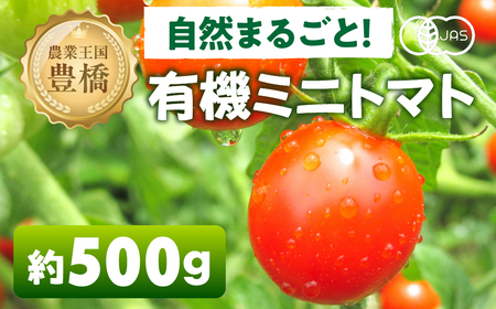 有機栽培ミニトマト 約 500g 有機栽培 有機 トマト ミニトマト 濃厚 甘い 美味しい 高糖度 完熟 tomato とまと やさい 自然 安心安全 旬 オーガニック 送料無料 愛知県 豊橋市