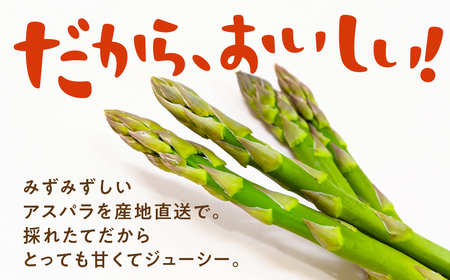 ≪先行予約≫有機栽培アスパラガス 約 500g