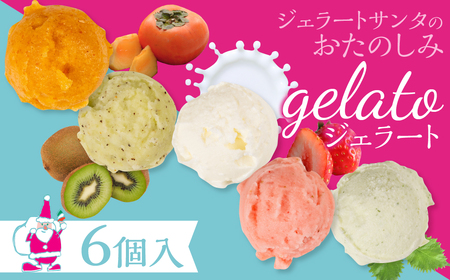 豊橋の恵みが詰まった新鮮＆ヘルシーなジェラート 6個入 アイス ジェラート ヘルシージェラート ジェラートサンタ