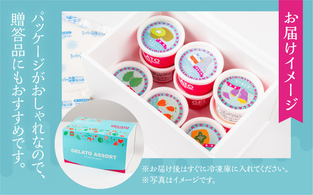 豊橋の恵みが詰まった新鮮＆ヘルシーなジェラート 12個入