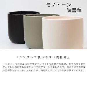 サンスベリアローレンチ （鉢色：ブラック）  モノトーン130陶器鉢 水位計つきセット インテリア 緑 グリーン 植物 簡単 初心者 かわいい 自然 おしゃれ 送料無料 Green Walk グリーンウォーク 愛知県 豊橋市