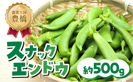 ≪先行予約≫スナックエンドウ 約500g エンドウ スナップエンドウ サラダ 野菜 料理 夕飯 おかず 栄養バランス シャキシャキ 高糖度 糖度 旬 旬の野菜 健康 愛知県 豊橋市 1万円 10000円